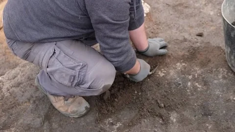 Close-up video shot of an archaeologist working on a stratum in an archaeol.. Stock Footage 237311063