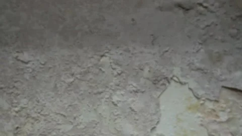 Close-up video shot with the camera pulling away from a wall damaged by mold and Stock Footage 300496083