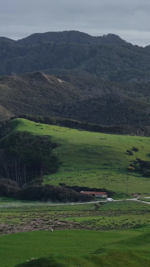 Close up video shot of van running fast among green hill Stock Footage 289099021