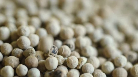 Close-up video of a slowly rotating white pepper Stock Footage 161254258