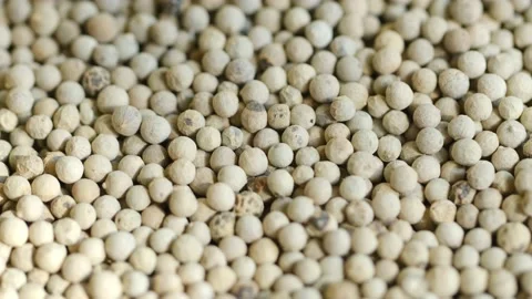 Close-up video of a slowly rotating white pepper Stock Footage 161392567
