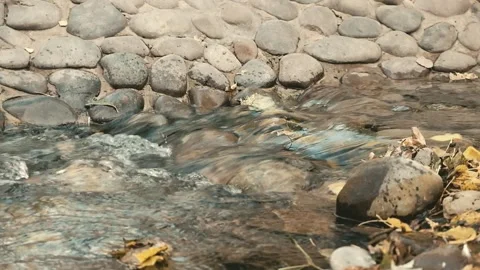 Close-up video of a small creek with clear water and autumn foliage. Slow mot Video stock 131154573