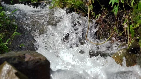 Close up video of small mountain waterfall Stock Footage 153223318
