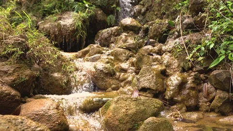 Close up video of small mountain waterfall Stock Footage 153223371