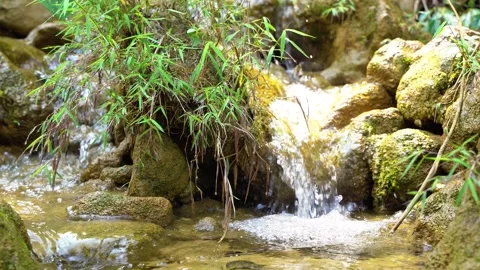 Close up video of small mountain waterfall Stock Footage 153223376