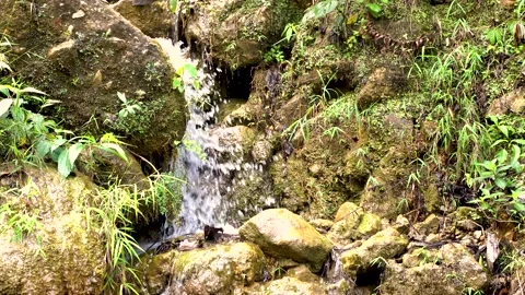 Close up video of small mountain waterfall Stock Footage 153223420