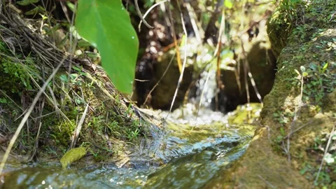 Close up video of small mountain waterfall Stock Footage 153223468