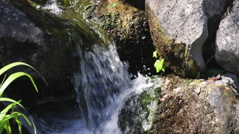 Close-up video of a small waterfall Stock Footage 272573661