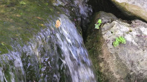 Close-up video of a small waterfall Stock Footage 272583700