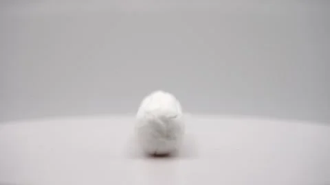 A close-up video of a tampon rotating on a white platform Stock Footage 289759787
