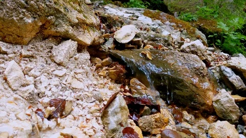 Close up video of a tiny creek with small amount of pure mountain running water. Video stock 125831317