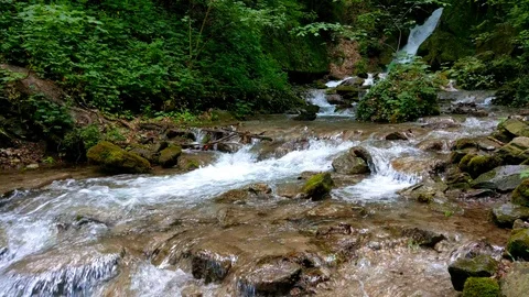 Close up video of a tiny creek with small amount of pure mountain running water. Video stock 126003321