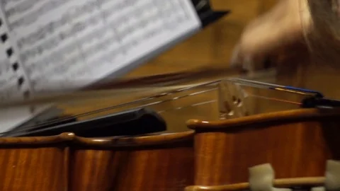 Close-up video of a violinist's hands playing the violin or viola Video stock 112179912