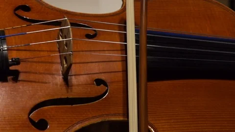 Close-up video of a violinist's hands playing the violin or viola Stock-Footage 112180047