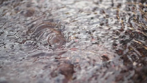 Close-up video of water breaking out of the ground with a small pressure. T.. Stock Footage 295153547