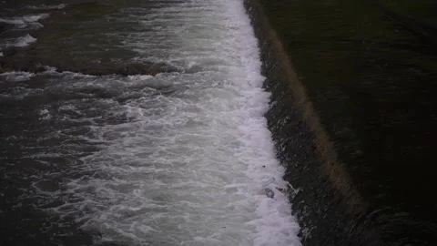 Close up video of water flowing over a small concrete dam in a river Vidéo 330585366
