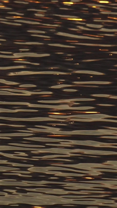 Close up video of water at sunset time.Vertical video Stock Footage 303949704