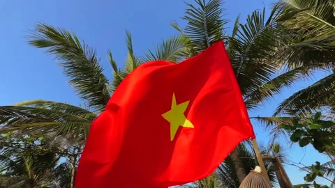 Close up of Vietnamese national flag waving in the wind between palm trees and Vidéo 342220002
