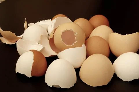 Close-up view from above of chicken egg shells on black. Stock Photos