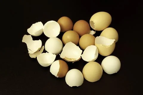 Close-up view from above of chicken egg shells on black. Foto stock