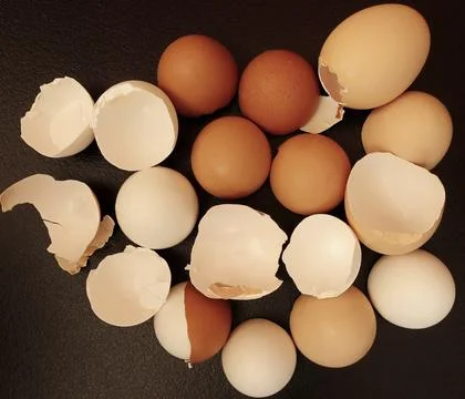 Close-up view from above of chicken egg shells on black. Foto stock