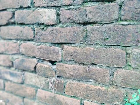 A close-up view of an aged brick wall showing weathered texture, mortar joi.. Stock Photos
