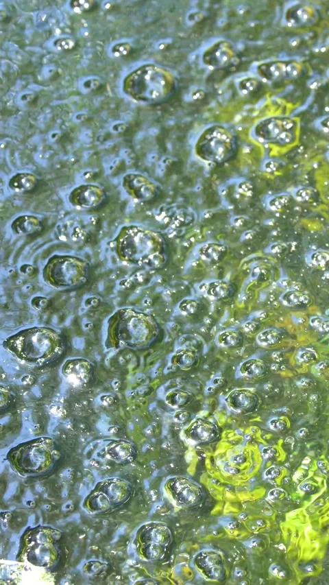 Bubbles Rising Pond5 Stock Videos – Royalty-Free HD & 4K Videos