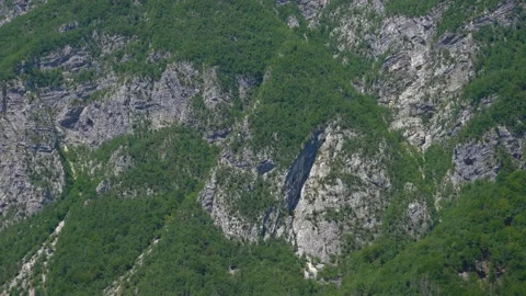 Close up view of Alps mountains covered with green dense forest Stock Footage 158016833