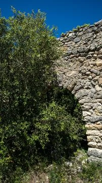 Close up view of ancient stone archway with overgrown trees and ivy in a de.. Stock-Fotos