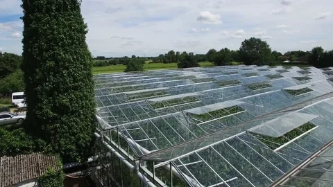 Close up view and top view of trees, grass and farms, 4K 25F Stock Footage 170485135