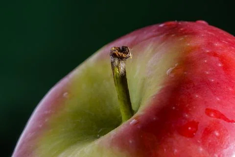 Close up view of an apple Foto stock