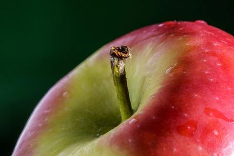 Close up view of an apple Fotos Stock