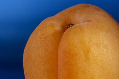 Close up view of an apricot Fotos Stock