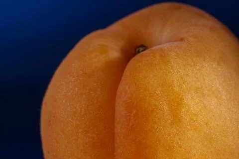 Close up view of an apricot Фото