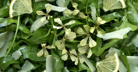 Close up view of arugula salad. Stock-Footage 279922942