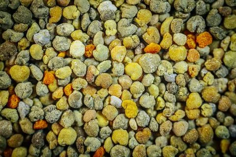 Close-up view of assorted pollen grains in various colors including yellow,.. Stock Photos