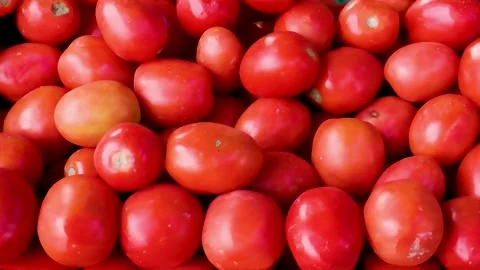Close view of assorted red tomatoes piled Stock Footage 338168353