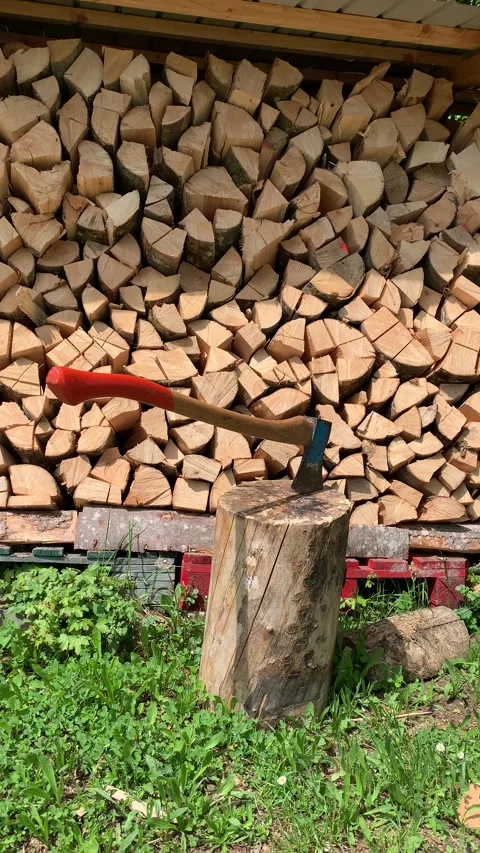 Close View of Axe and Firewood in Village Setting Stock Footage 309378283