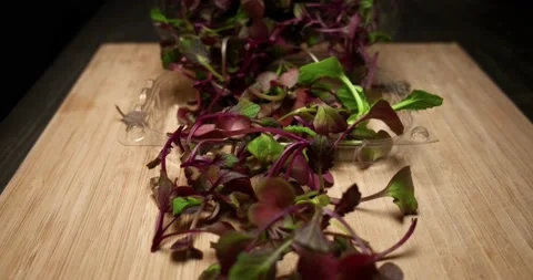 Close up view of baby beetroot, fresh and organic microgreens. Stock Footage 152590209