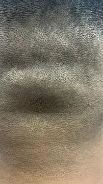 Close up view of the back of a man's head Stock Photos