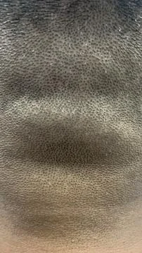 Close up view of the back of a man's head Stock Photos