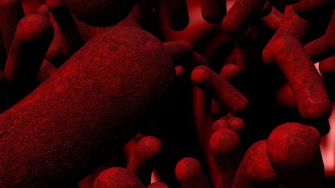 A close-up view of bacteria multiplying and dividing - seamless looping. Stock Footage 127839380