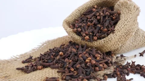 Close view of bag filled with cloves Vídeo Stock 147691388