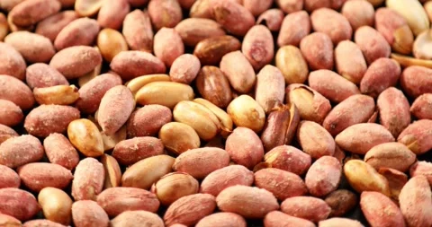 Close up view of baked salty peanuts 1 Stock Footage 148418222