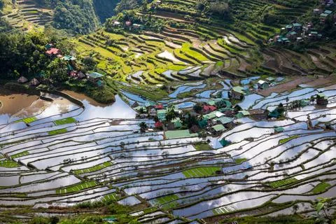 Close up view on the Batad village, Philippines Stock Photos