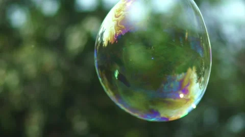 Close up view of beautiful big soap bubble is flying near the trees Stock Footage 67090065