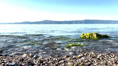 Close up view of a beautiful pebbly and mossy beach from a good angle Stock Footage 310174006