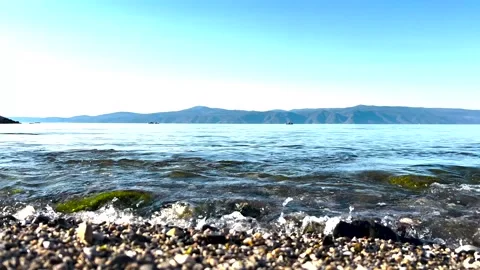Close up view of a beautiful pebbly and mossy beach from a good angle Stock Footage 310174441