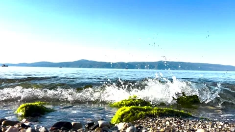 Close up view of a beautiful pebbly and mossy beach from a good angle Stock Footage 310174574