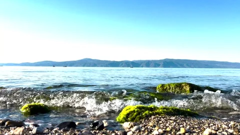 Close up view of a beautiful pebbly and mossy beach from a good angle Stock Footage 310174628